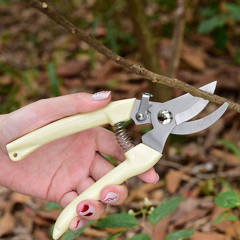 Pruning Shears - Tesoura de Poda para Jardim que