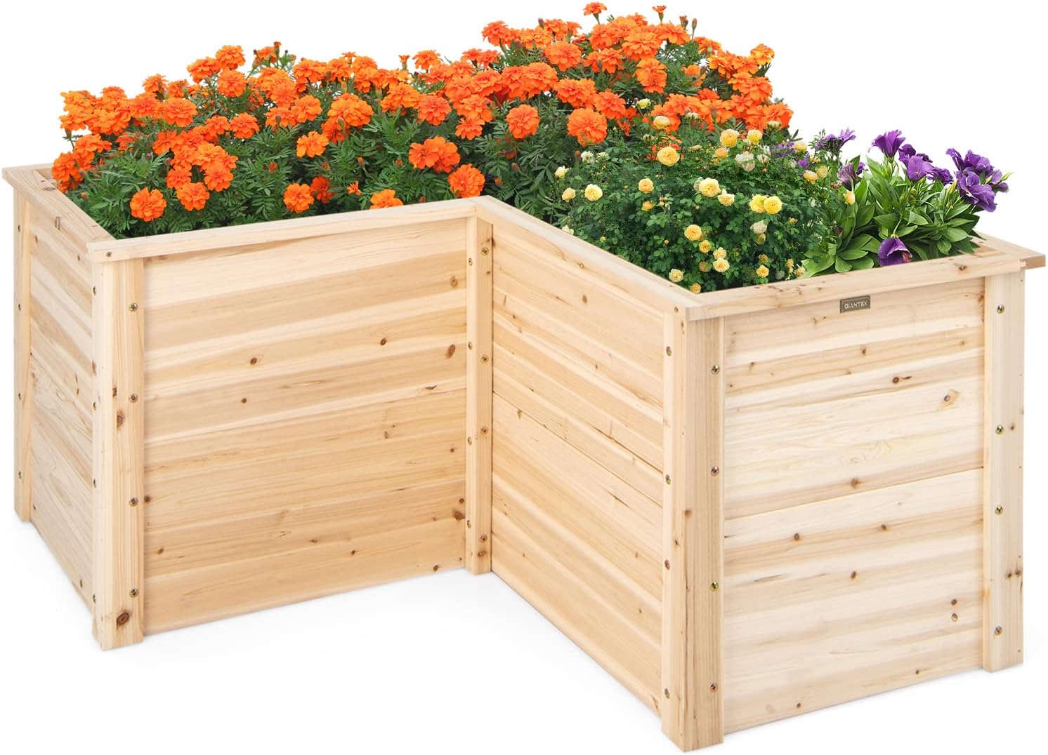 Raised Garden Bed - Canteiro Elevado de Madeira Maciça para