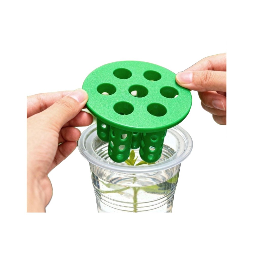 Hydroponic Kit - Kit de Germinação de Cebolinha (4