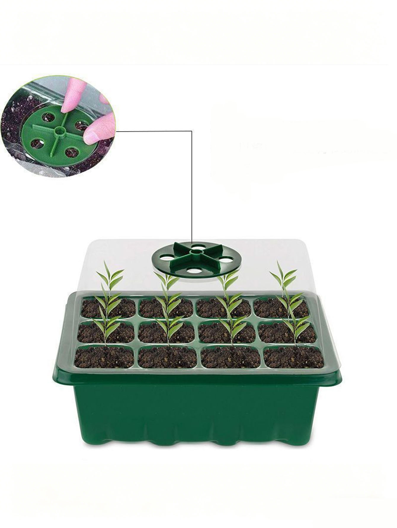 Seed Starter Tray - Bandeja para Mudas de 6/12 Furos,