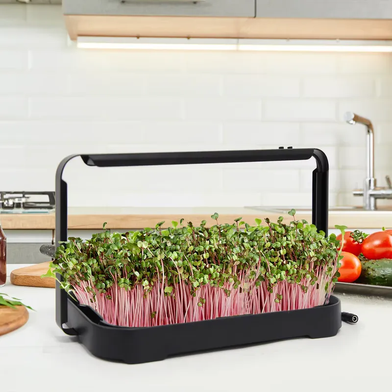 Hydroponic Kit - Bandeja Hidropônica para Cultivo Interno de