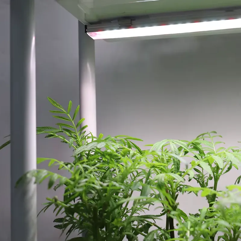 Jardim Vertical Móvel de 3 Nív - Self Watering Planter avaliação e preço