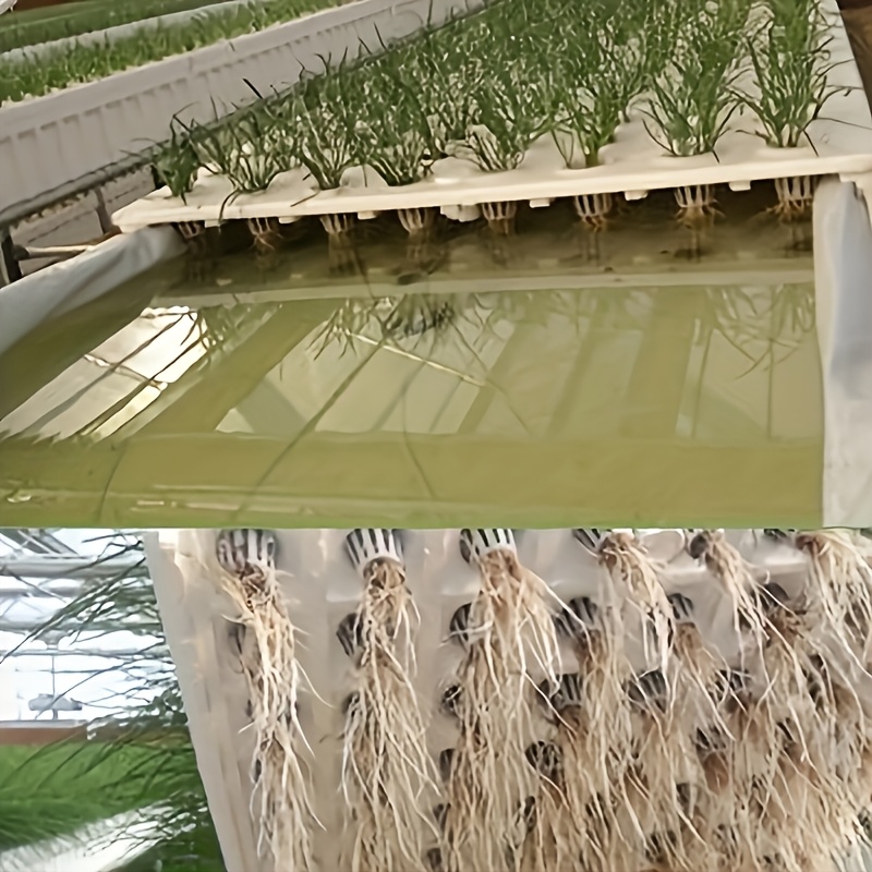 Conjunto de 10 Cestos Hidropôn - Seed Starter Tray avaliação e preço