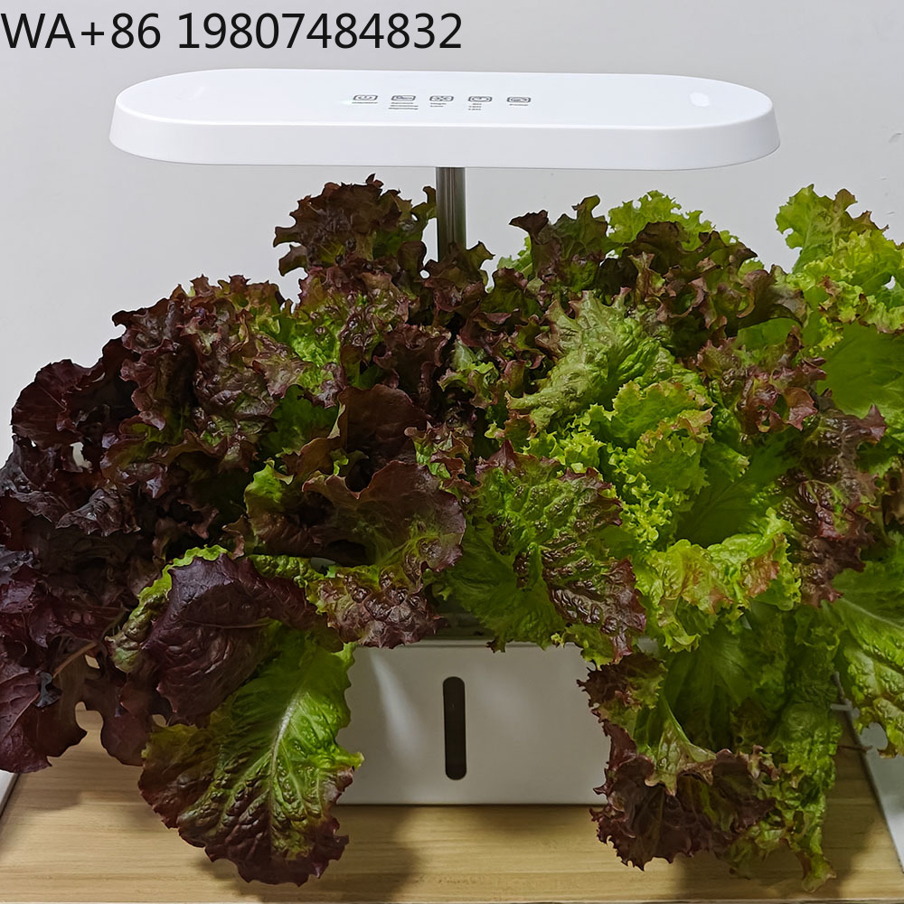 Kit de Cultivo Hidropônico com - Hydroponic Kit avaliação e preço
