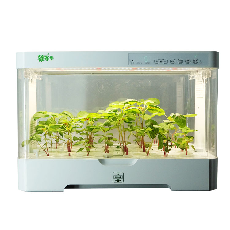 Pequeno Armário Inteligente de - Hydroponic Kit avaliação e preço
