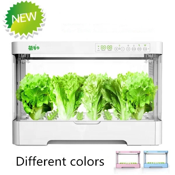 Pequeno Armário Inteligente de - Hydroponic Kit avaliação e preço