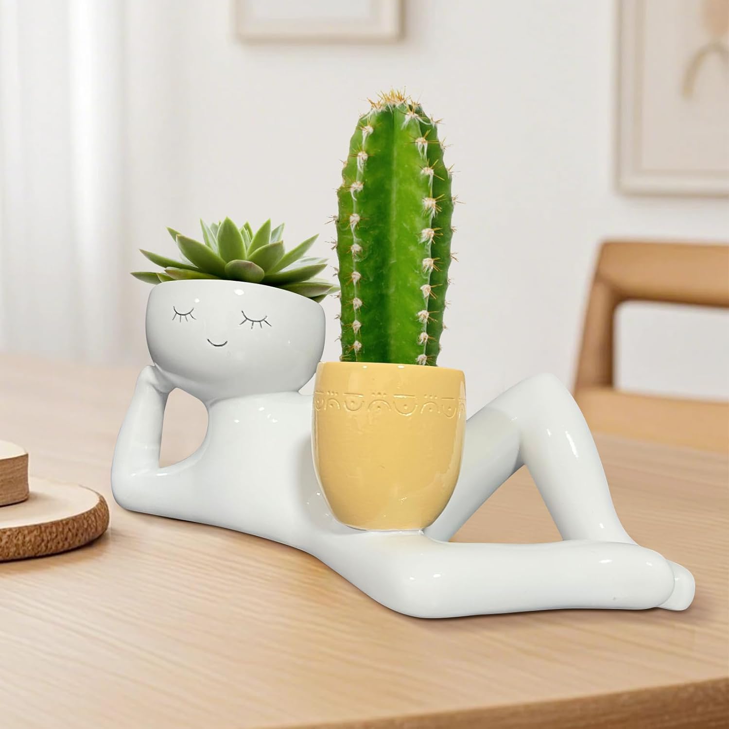 Vaso de Plantas Divertido Lazy - Plant Pot avaliação e preço