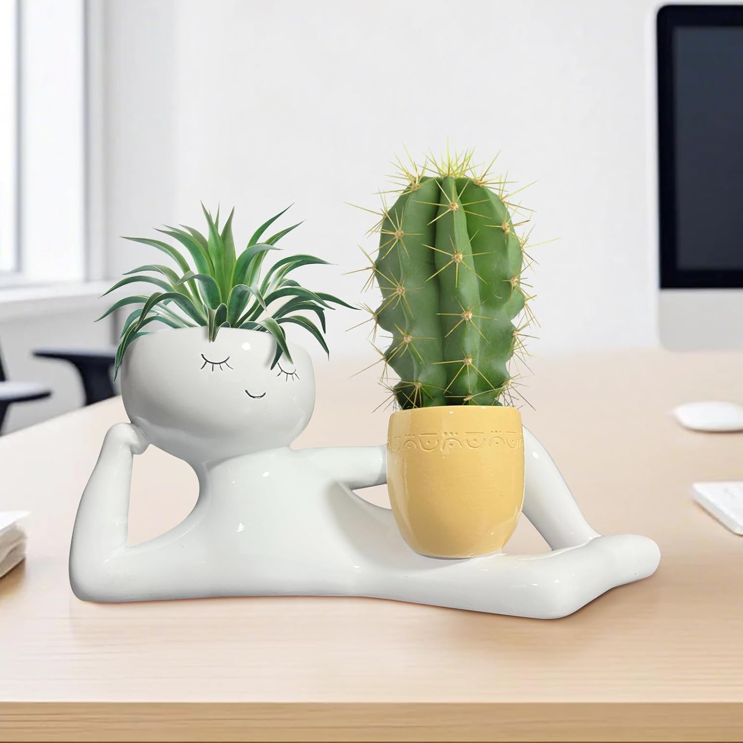 Vaso de Plantas Divertido Lazy - Plant Pot avaliação e preço