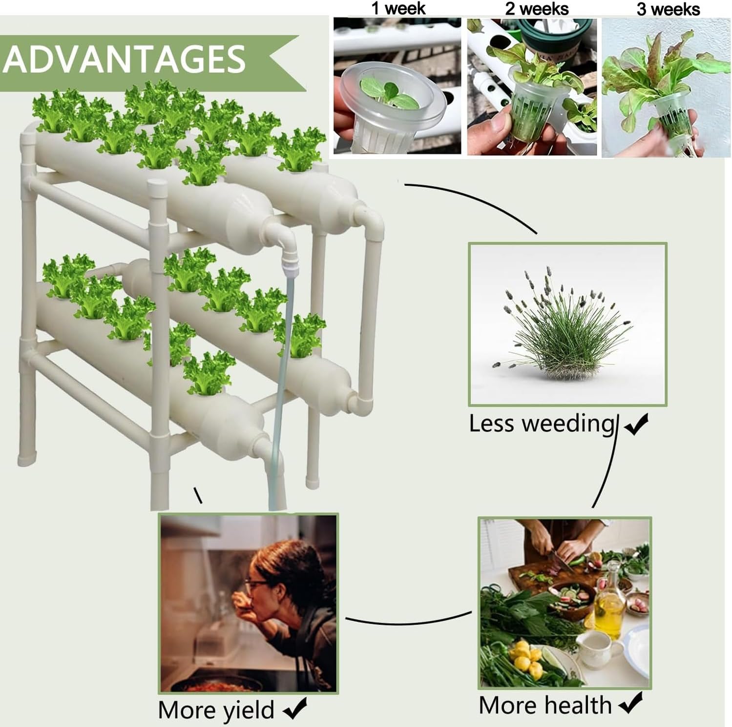 Sistema de Cultivo Hidropônico - Hydroponic Kit avaliação e preço