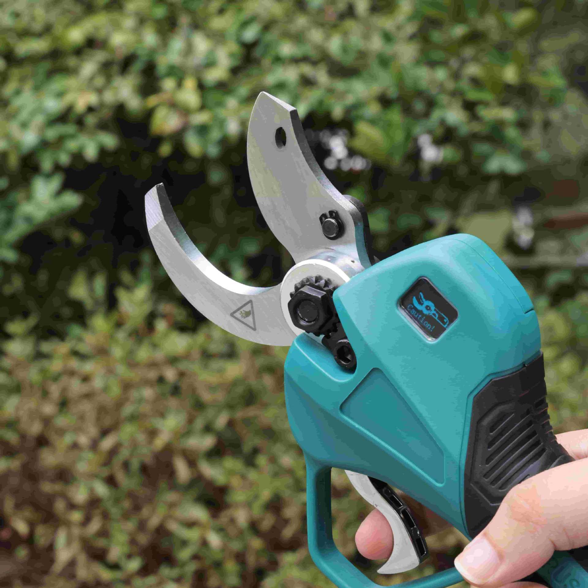 Tesoura de poda de jardim de a - Pruning Shears avaliação e preço