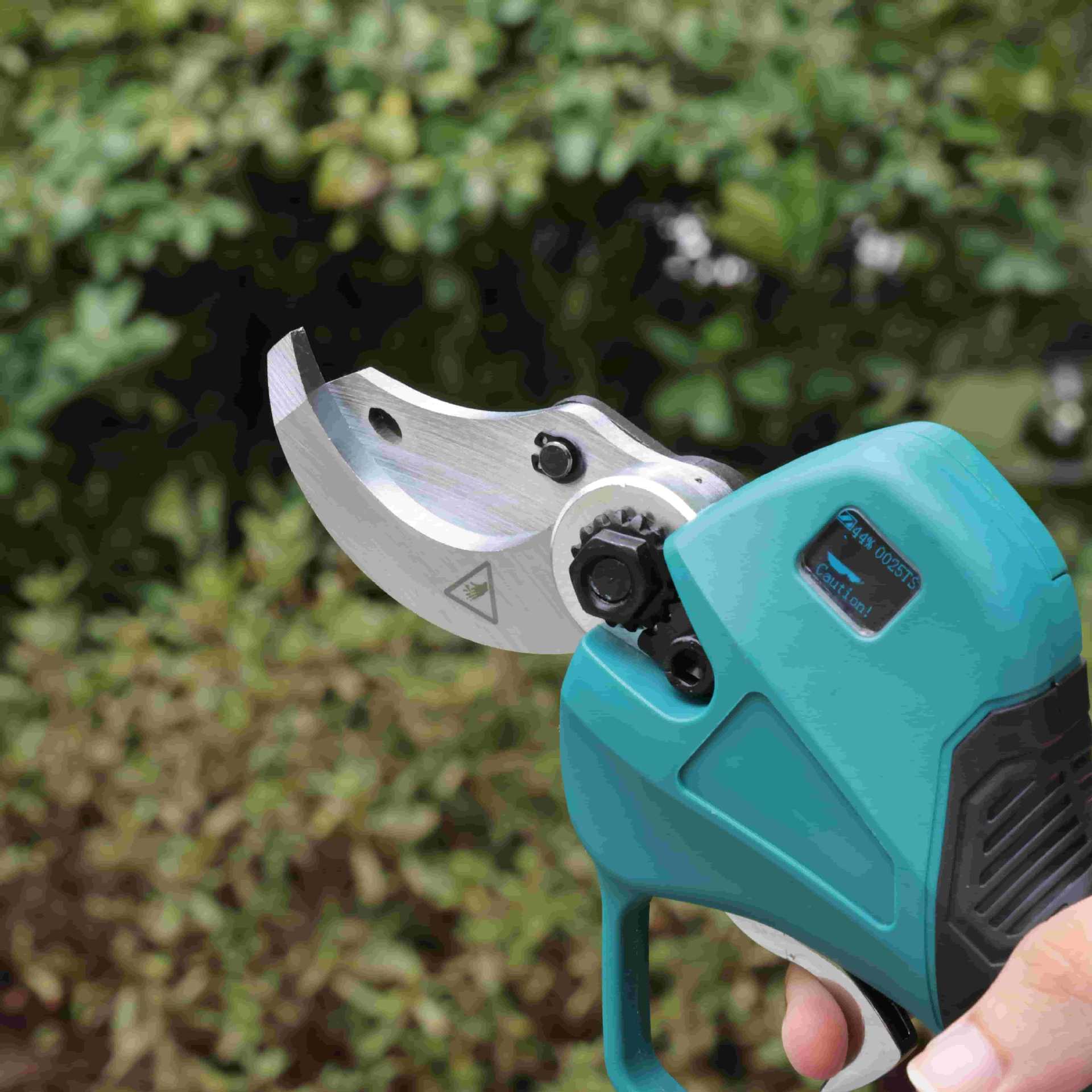 Tesoura de poda de jardim de a - Pruning Shears avaliação e preço