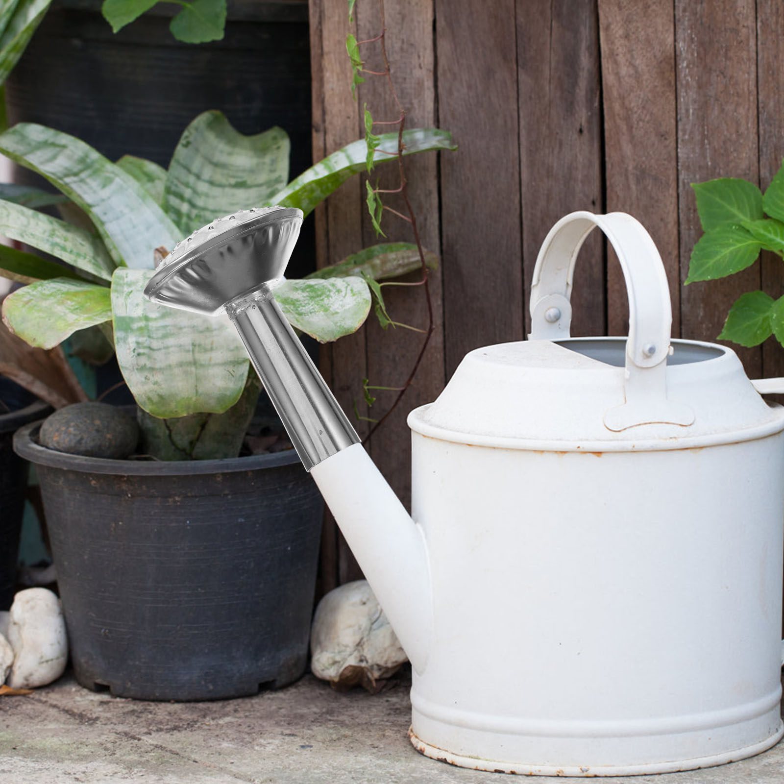 Cabeça de pulverizador de rega - Watering Can avaliação e preço