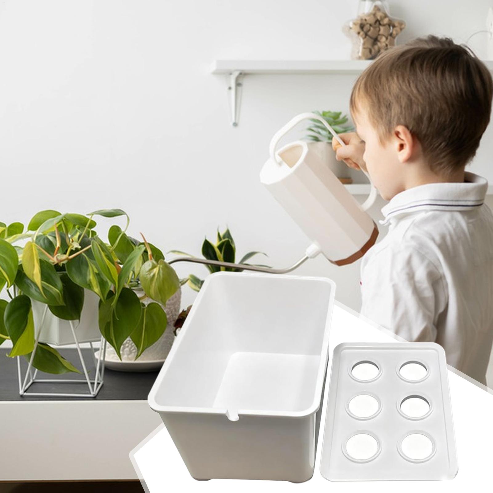 Kit de plantio hidropônico par - Hydroponic Kit avaliação e preço