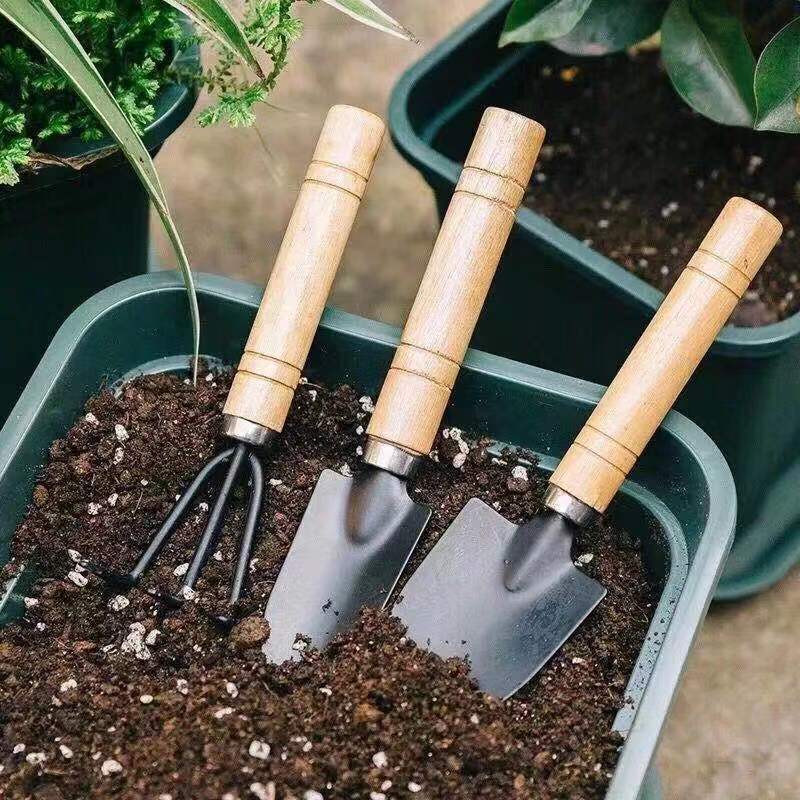 3pc/1 conjunto mini conjunto d - Indoor Herb Garden avaliação e preço