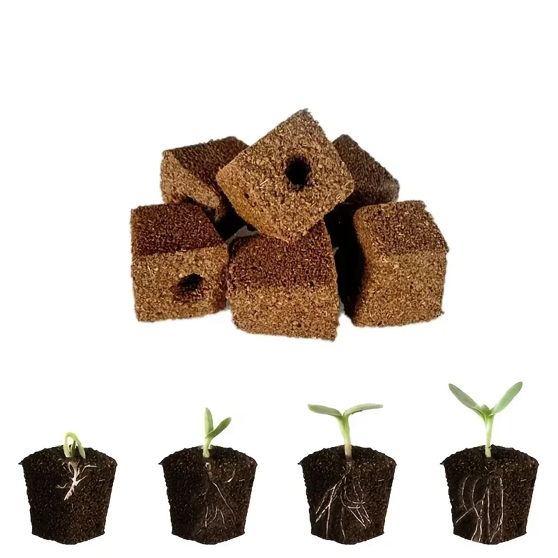 Kit de Esponjas para Germinaçã - Hydroponic Kit avaliação e preço