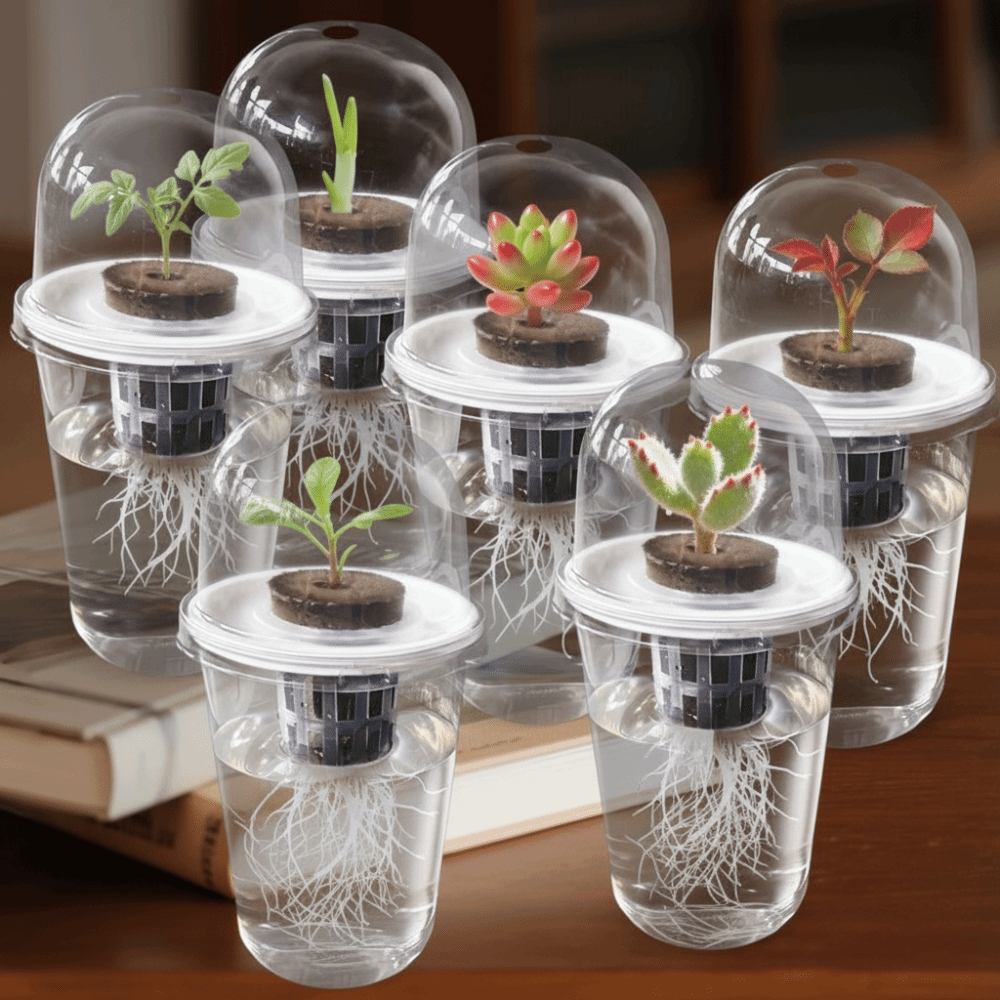 1-5 unidades Copos de Germinaç - Seed Starter Tray avaliação e preço