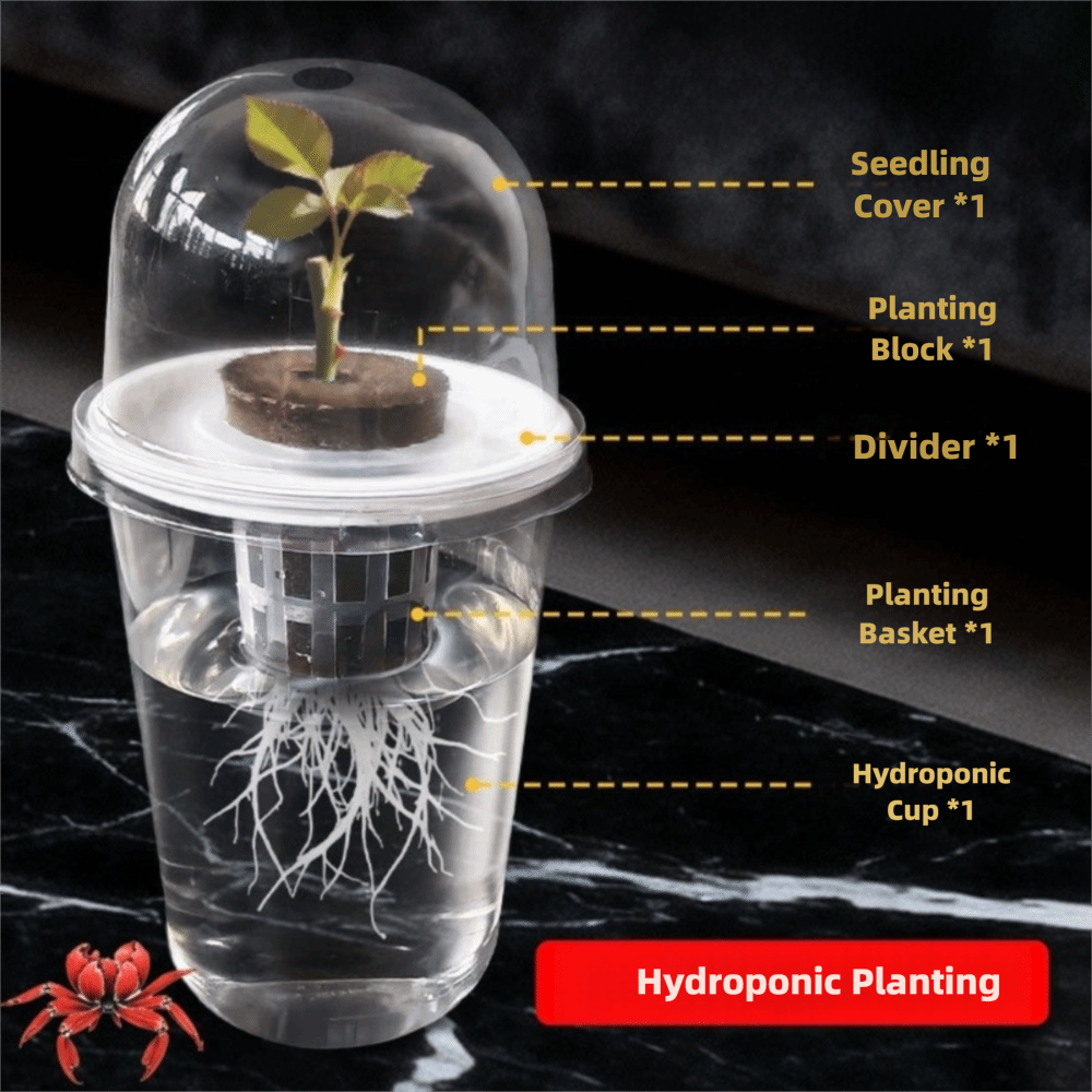 1-5 unidades Copos de Germinaç - Seed Starter Tray avaliação e preço