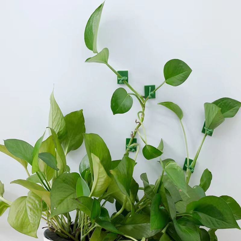 Clipes Autoadesivos para Fixaç - Indoor Herb Garden avaliação e preço