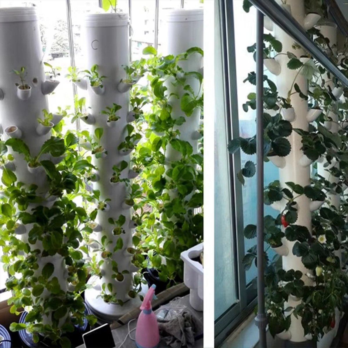 Copo de Plantio Hidropônico Ve - Plant Pot avaliação e preço