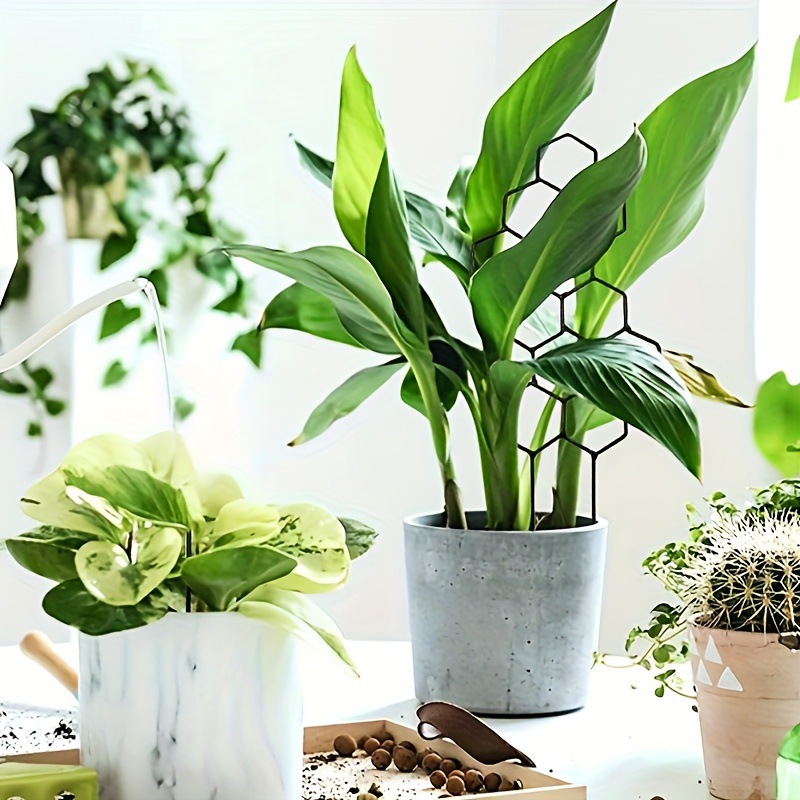 1PC Treliça para Plantas com D - Indoor Herb Garden avaliação e preço